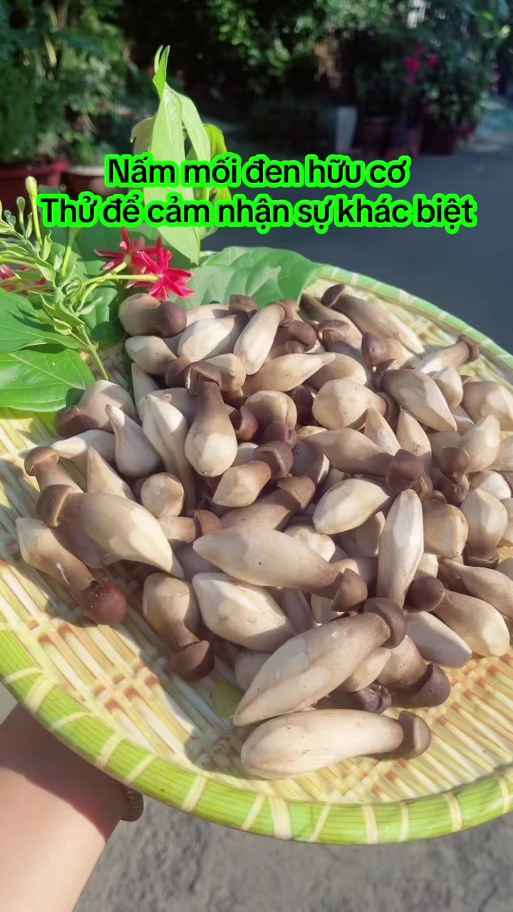 @nguyentuyet_79