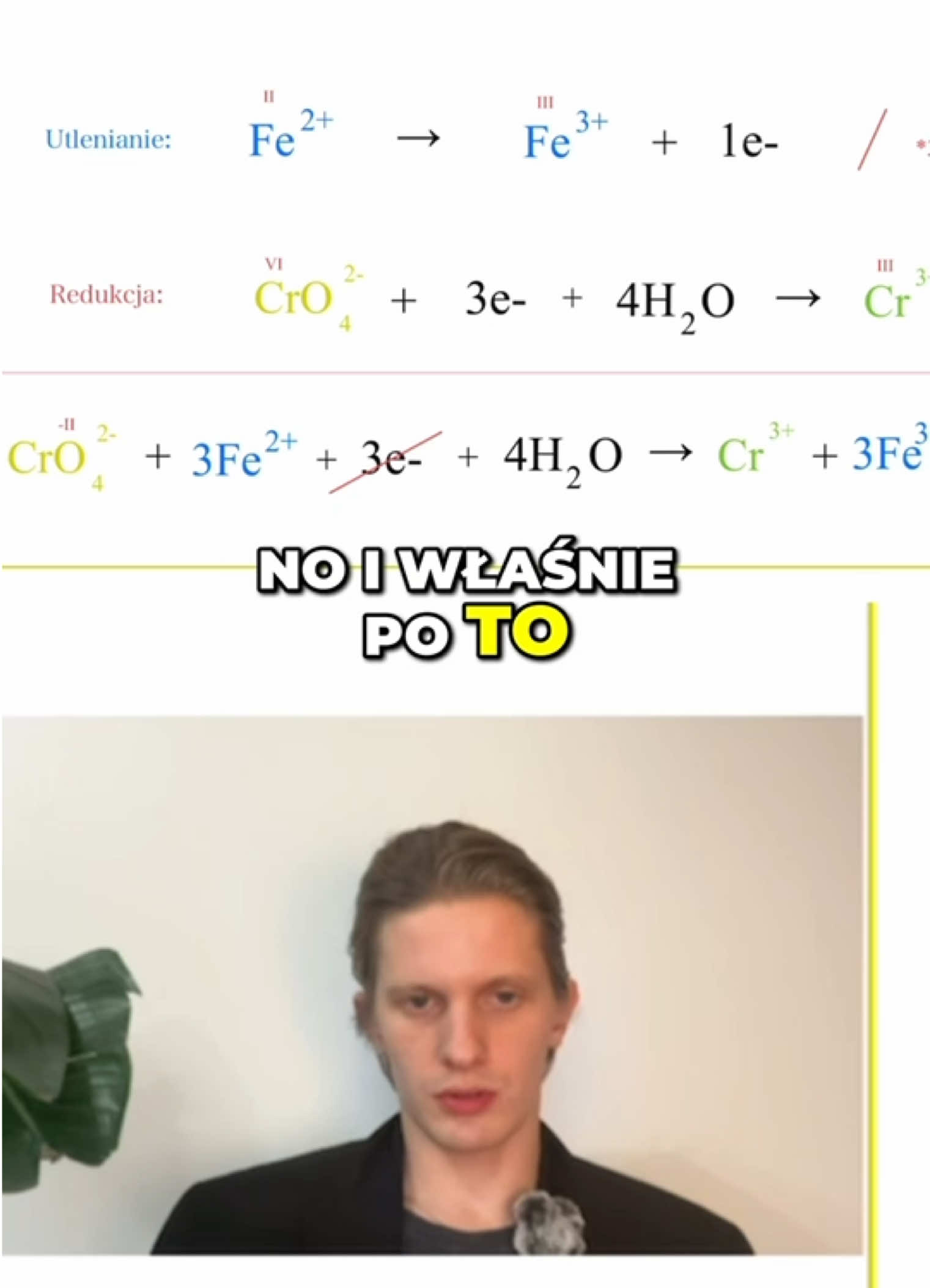 @aTOMowo