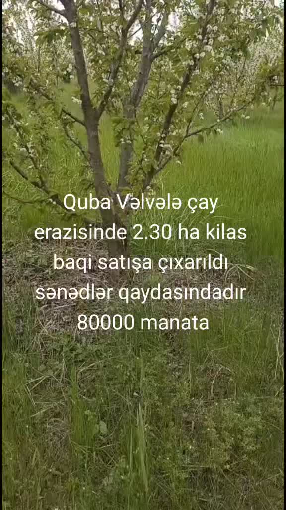 @Feran Mehtiyev