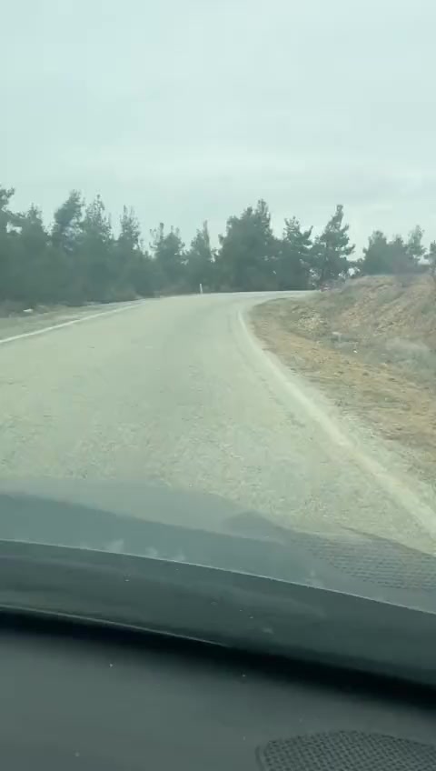 @20_ysn
