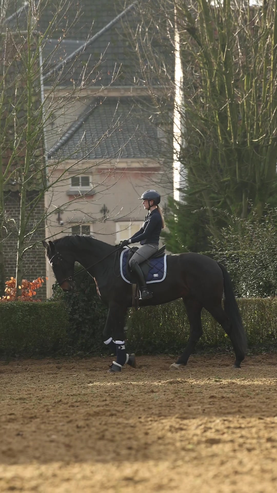 @Montar Benelux
