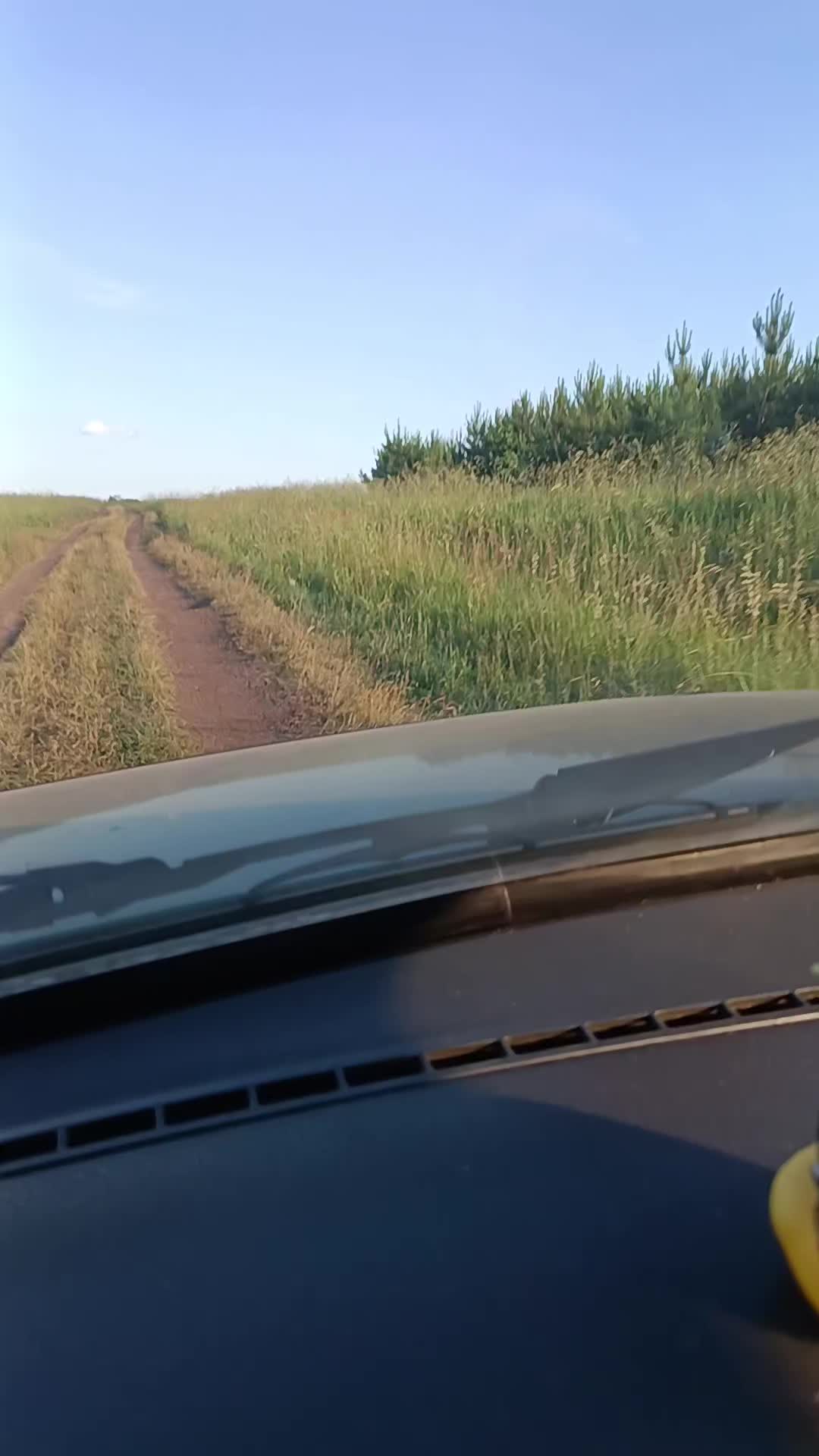 @"Пятёрочка дружная семья"