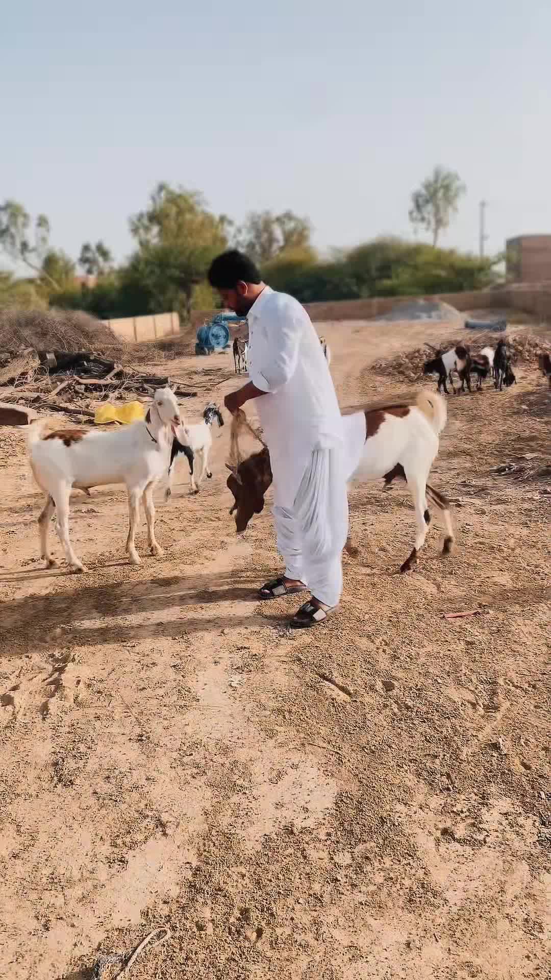 @صدام خان 🚩