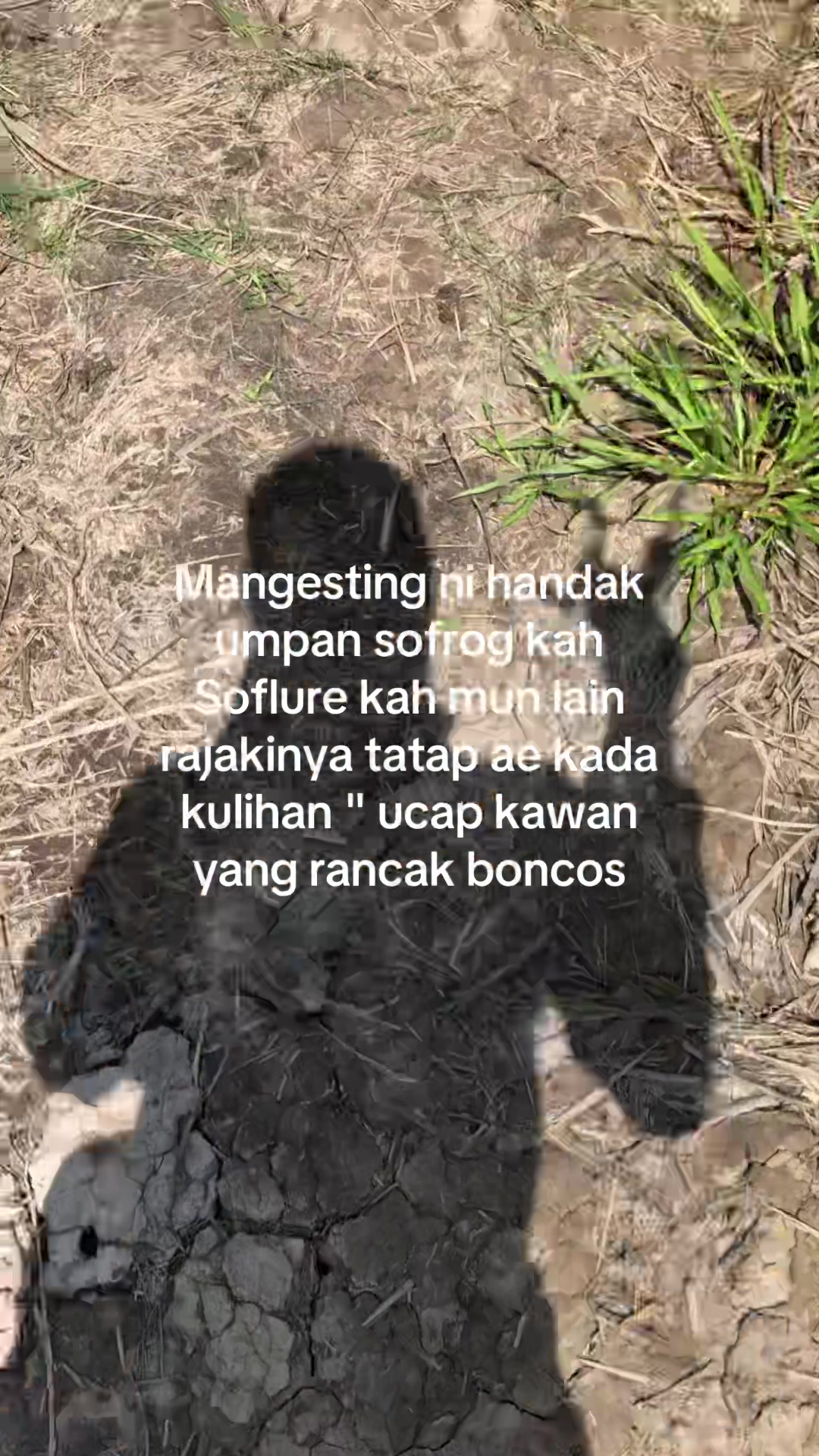 @Hayau tarus