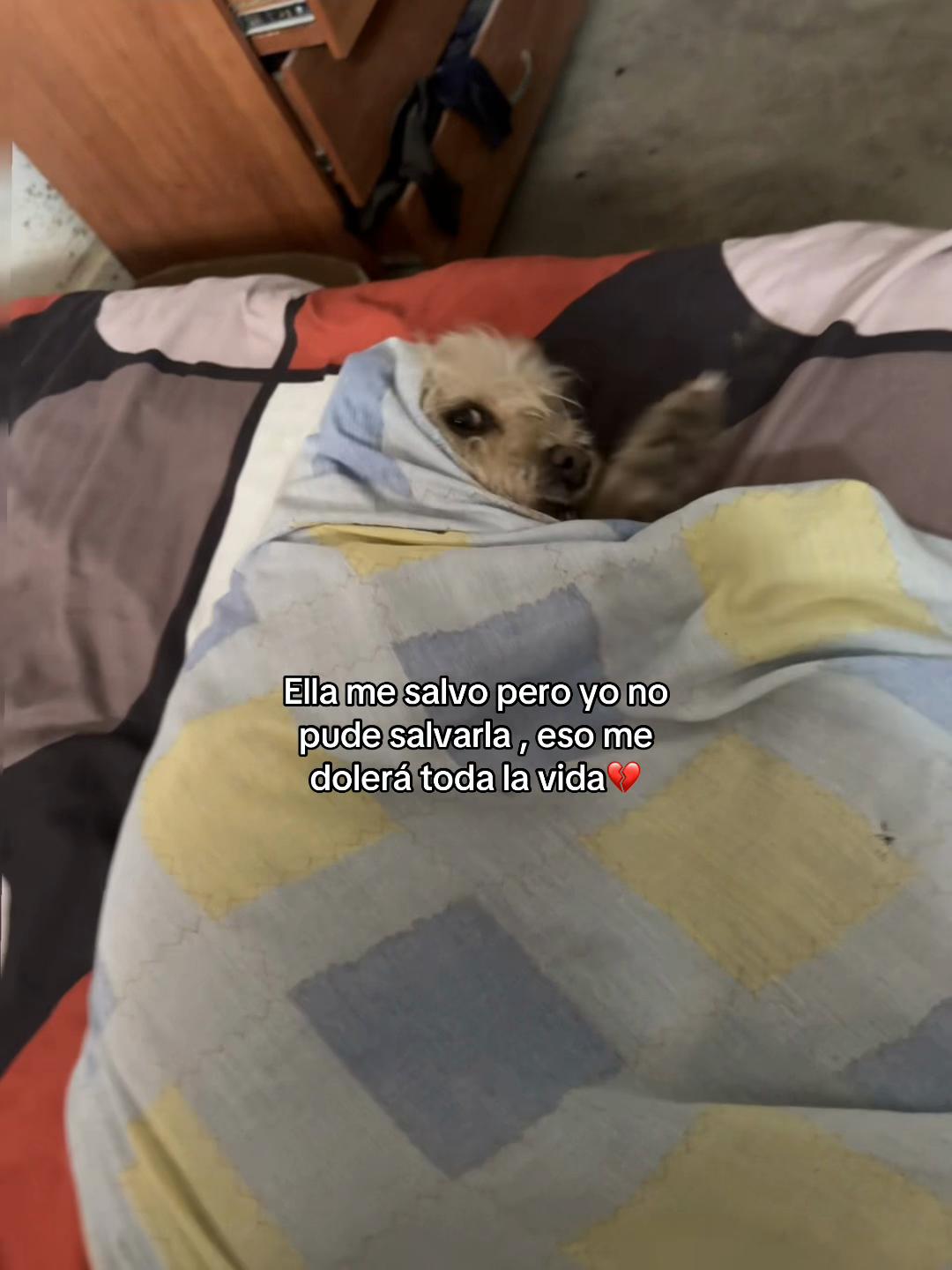 @Brenda