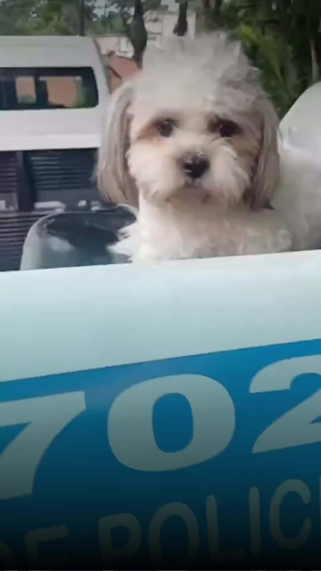 @Entre líneas