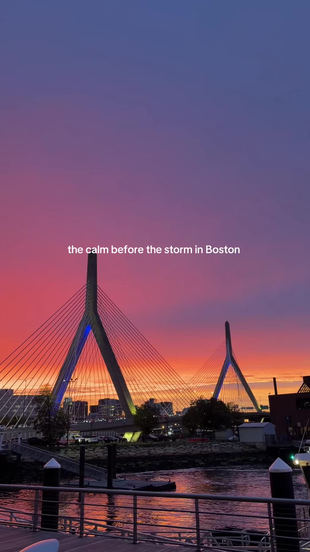 @sasha | beantown babe 🦞