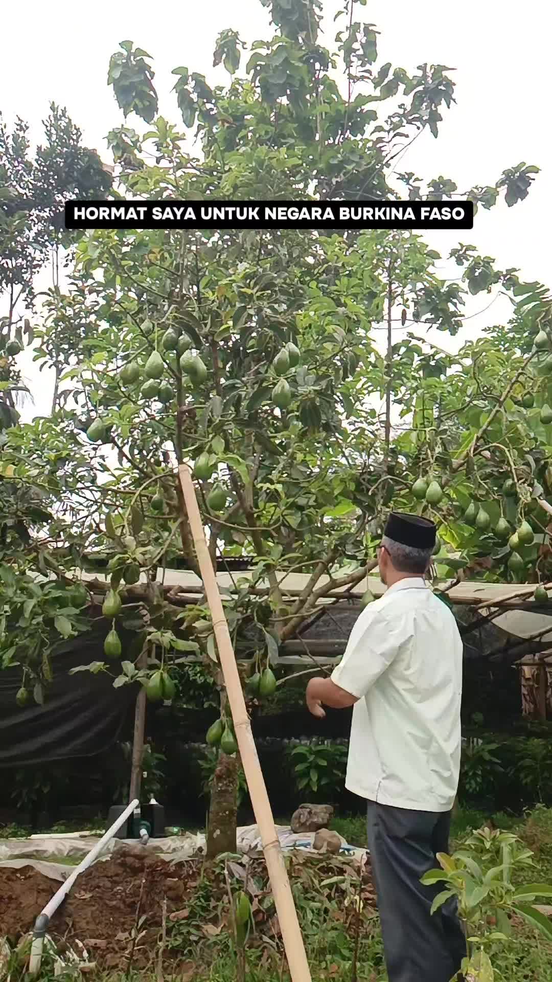 @masjoko salaman