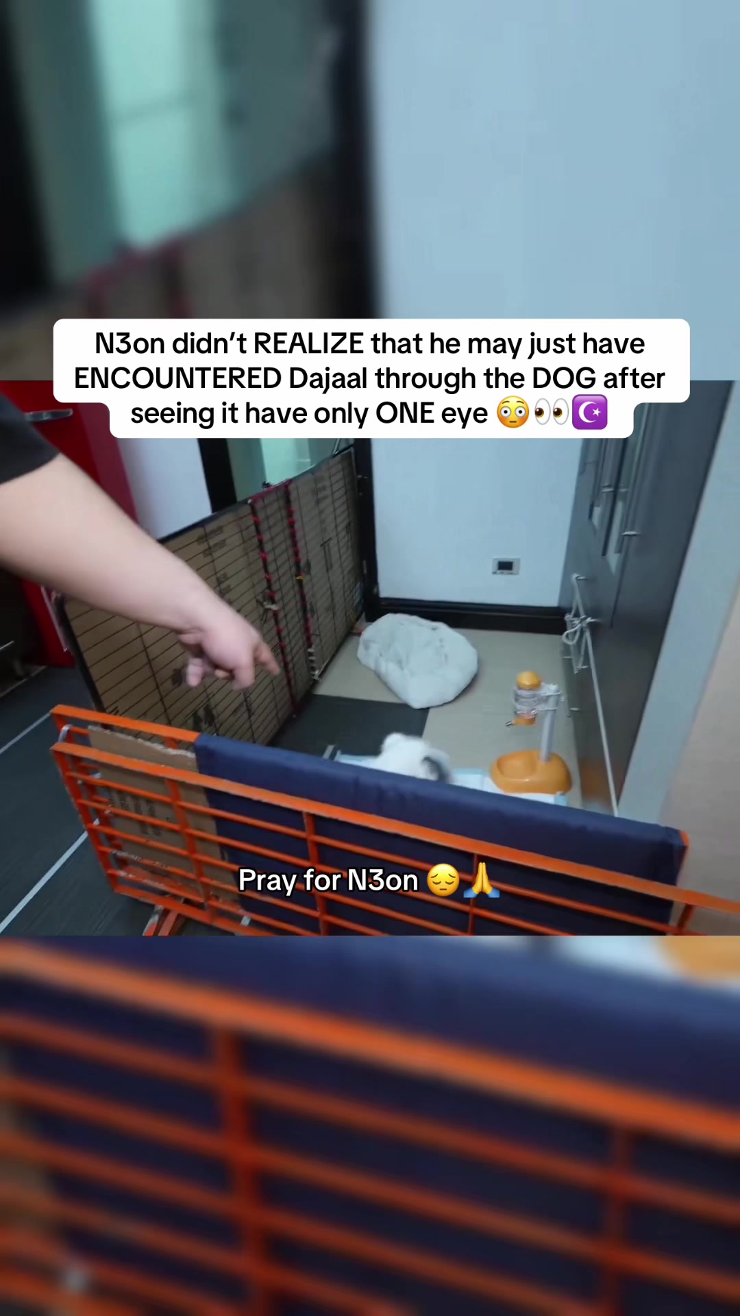 @clipsbyryze