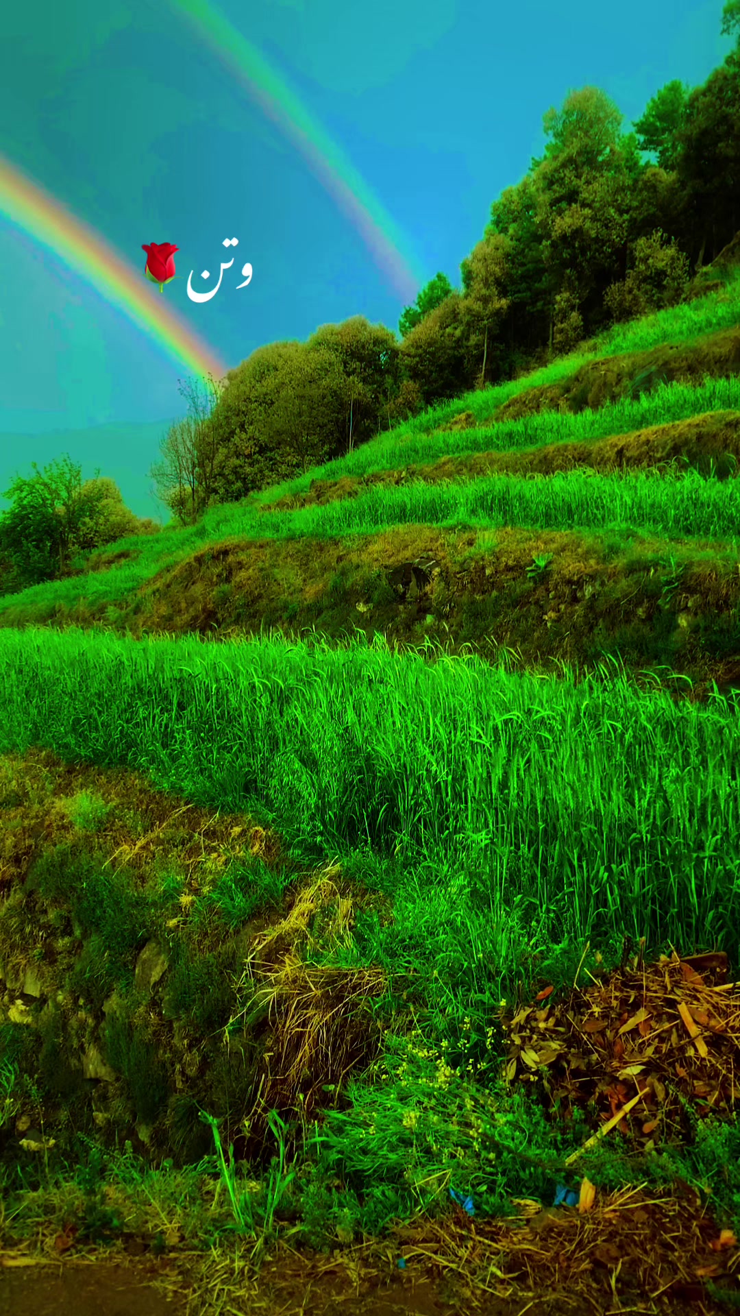 @Ajmeer Khan🇵🇰🇵🇰