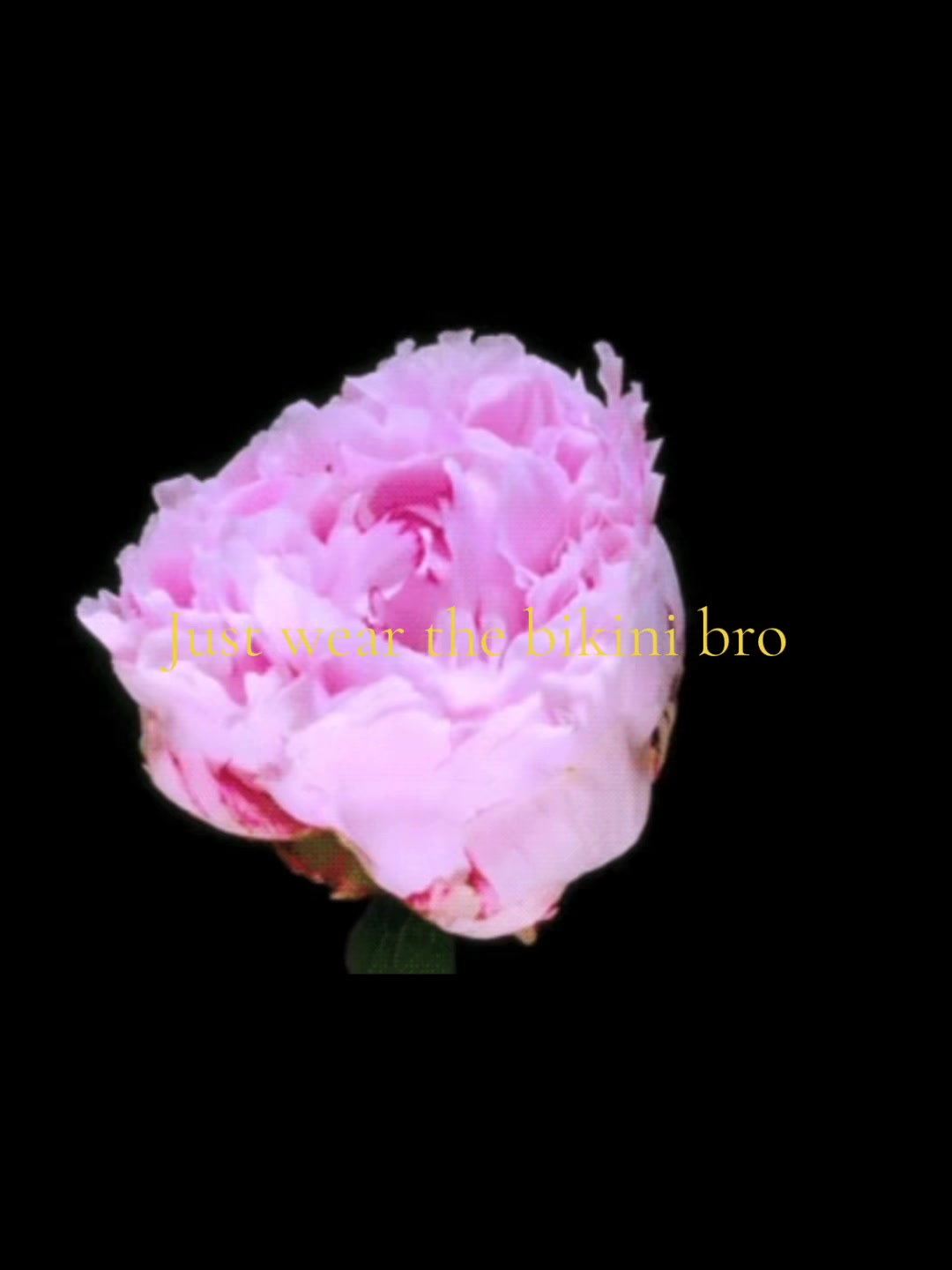 @hidden_4ngel