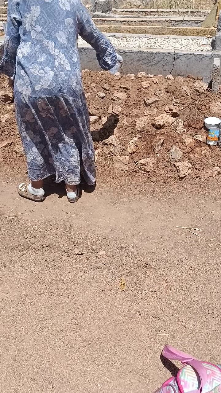 @آميرة جنات