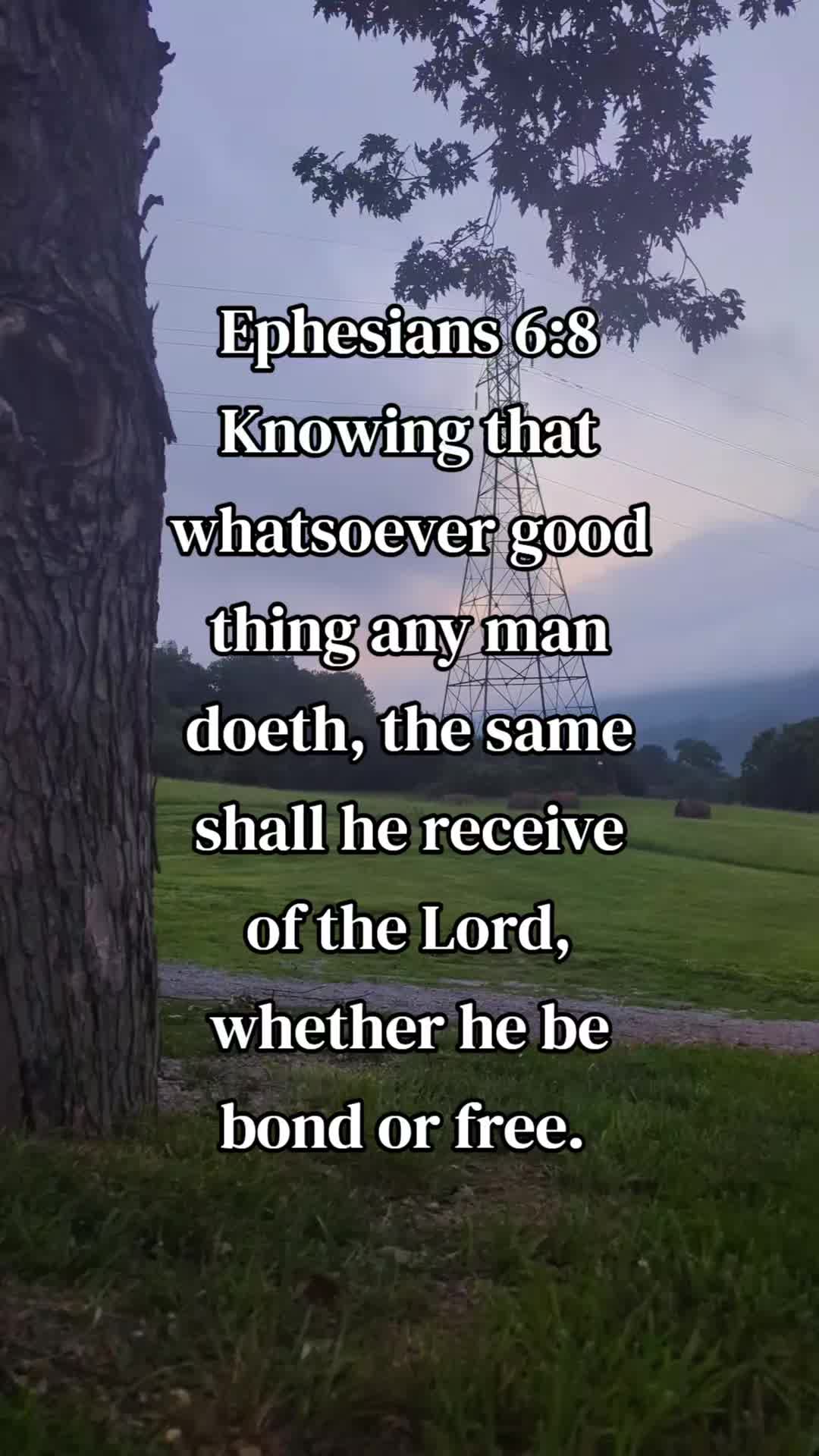 @PeaceBeStill