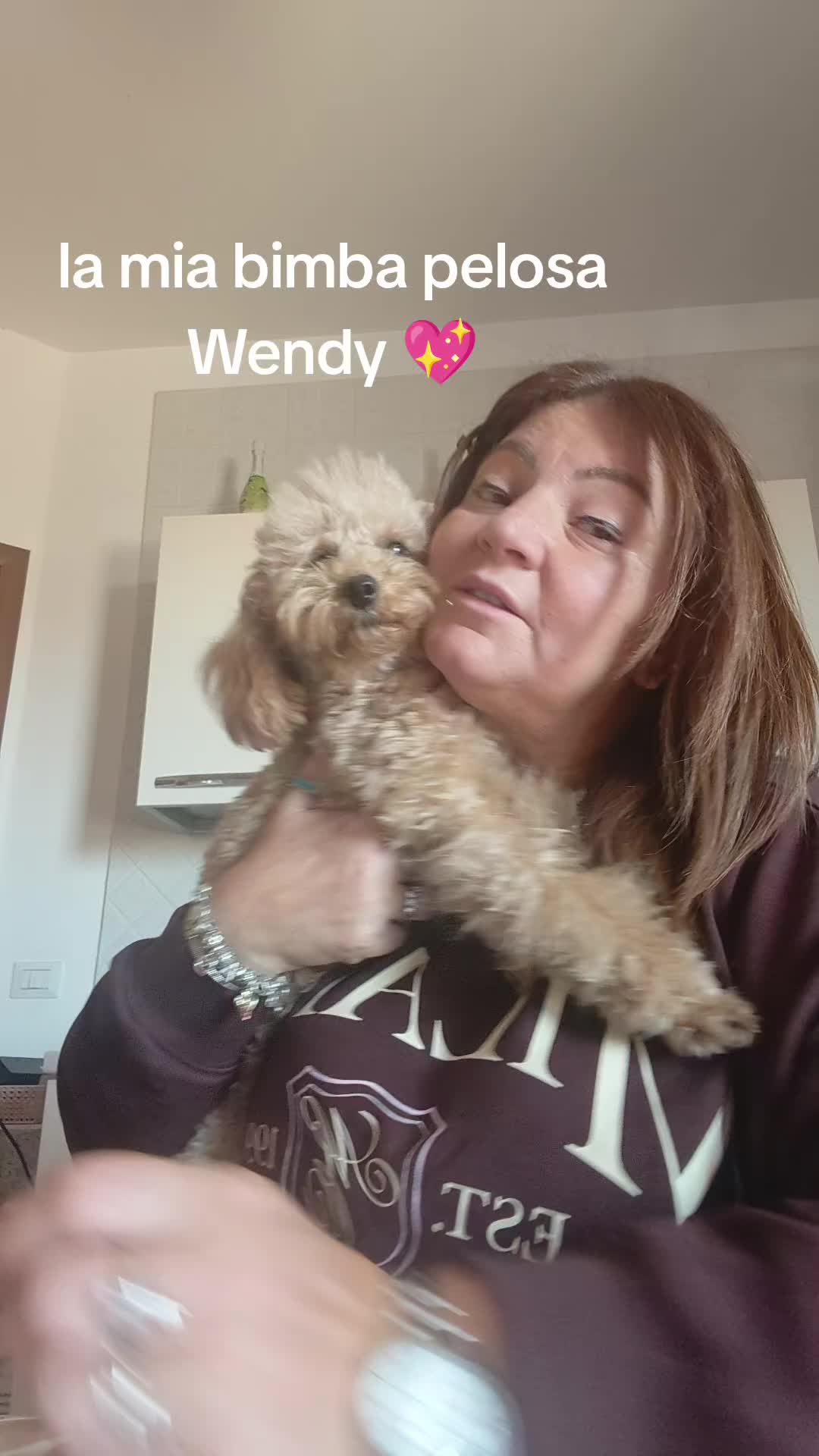 @giusigirace