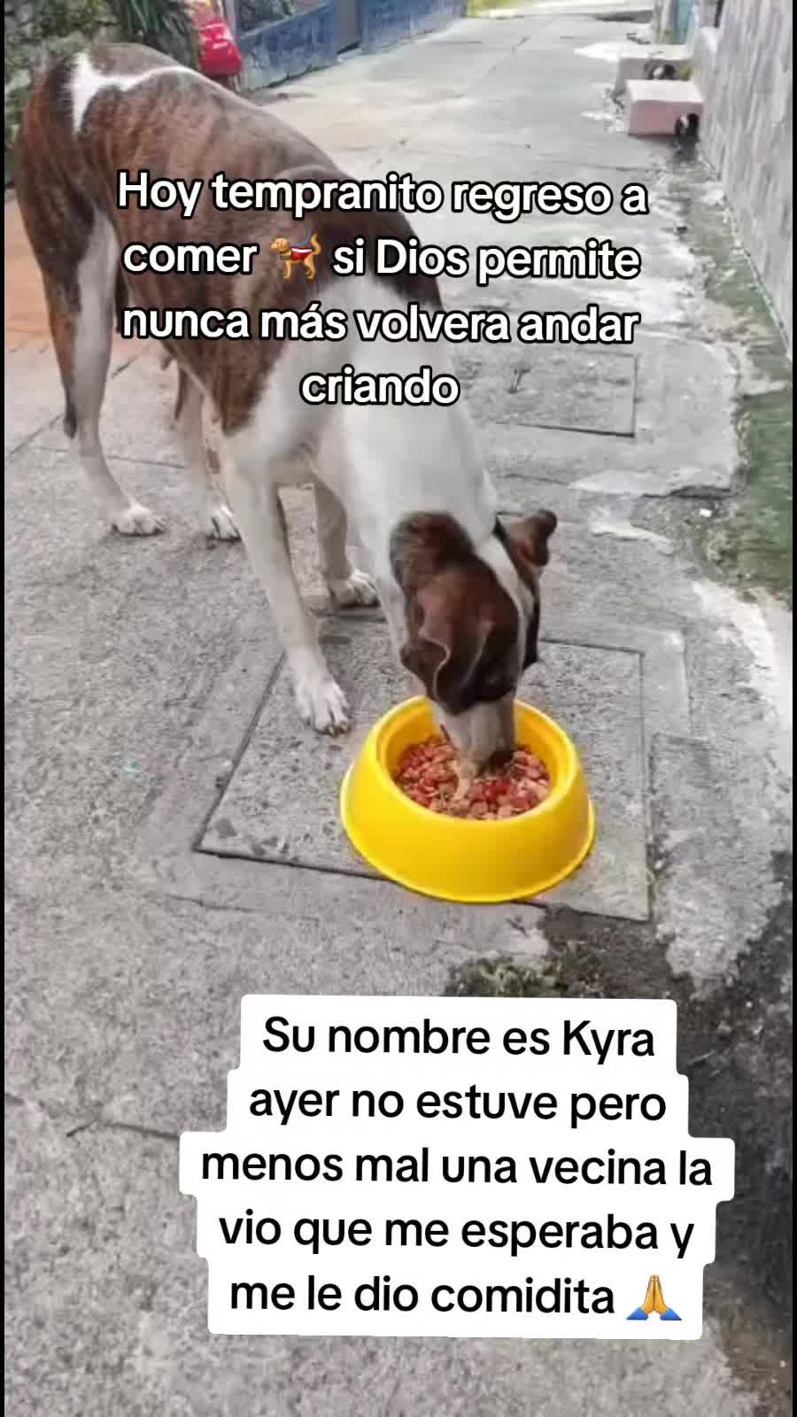 @𝕃𝕚𝕤𝕤 ℝ𝕖yes🇸🇻