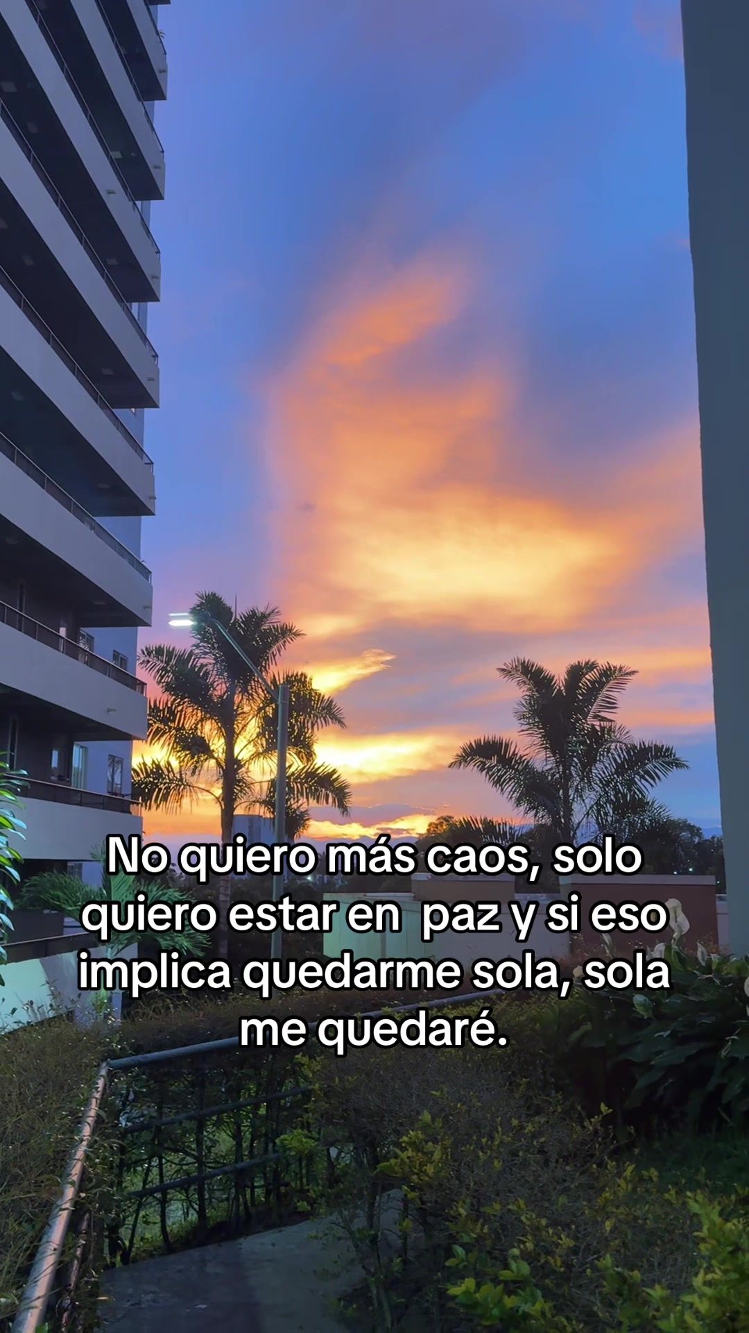 @Ortega🖤