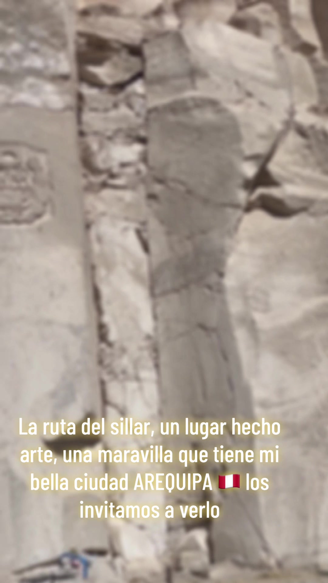 @NINFA