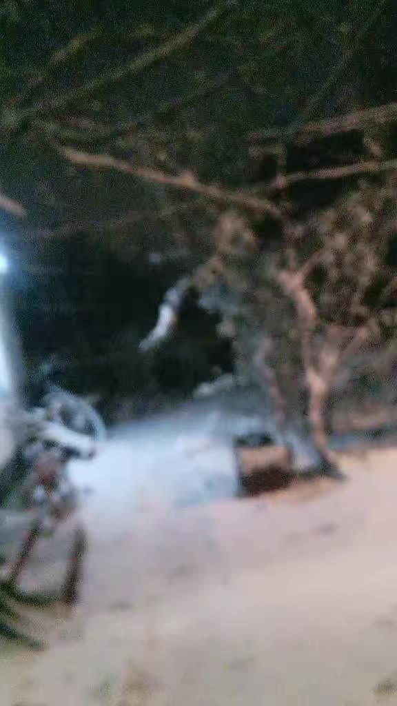 @user5101800652873