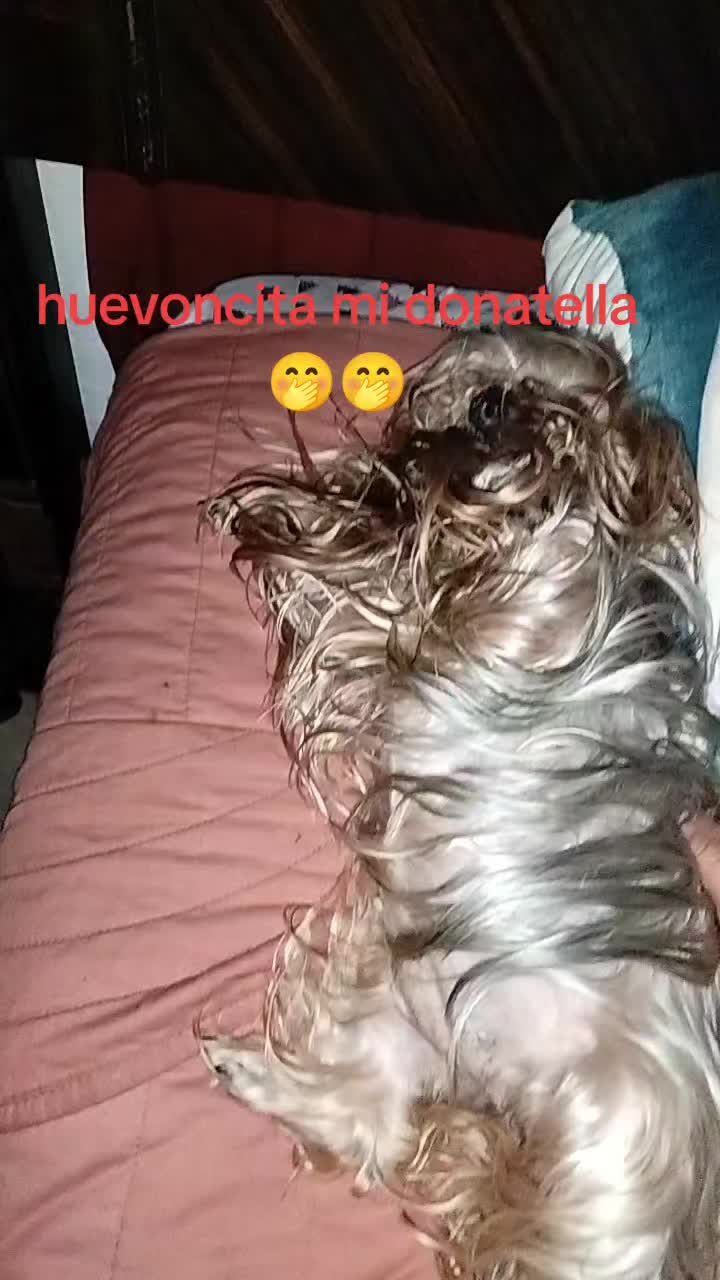 @Silvanna Lafontaynne