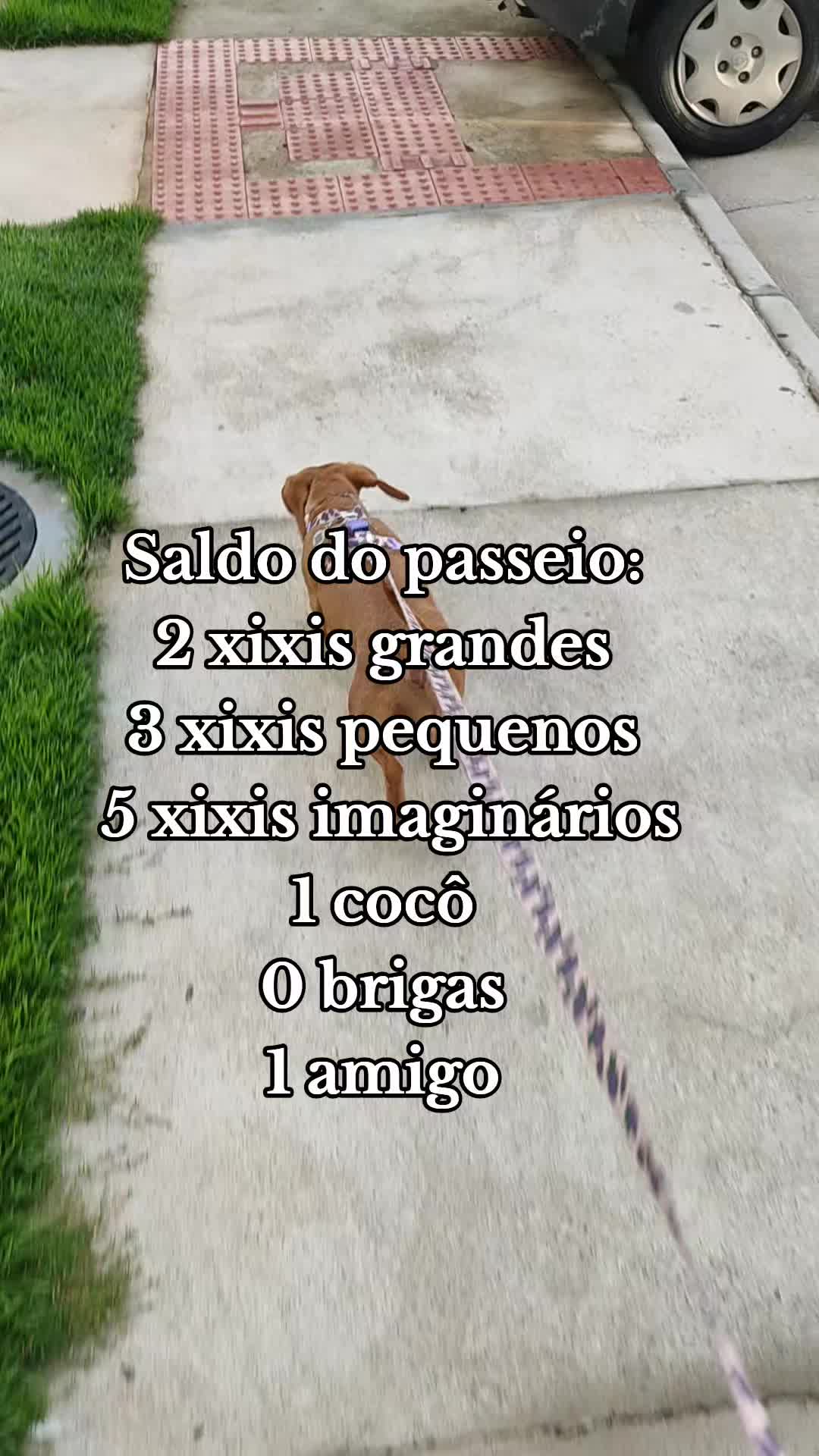 @Letícia Lima