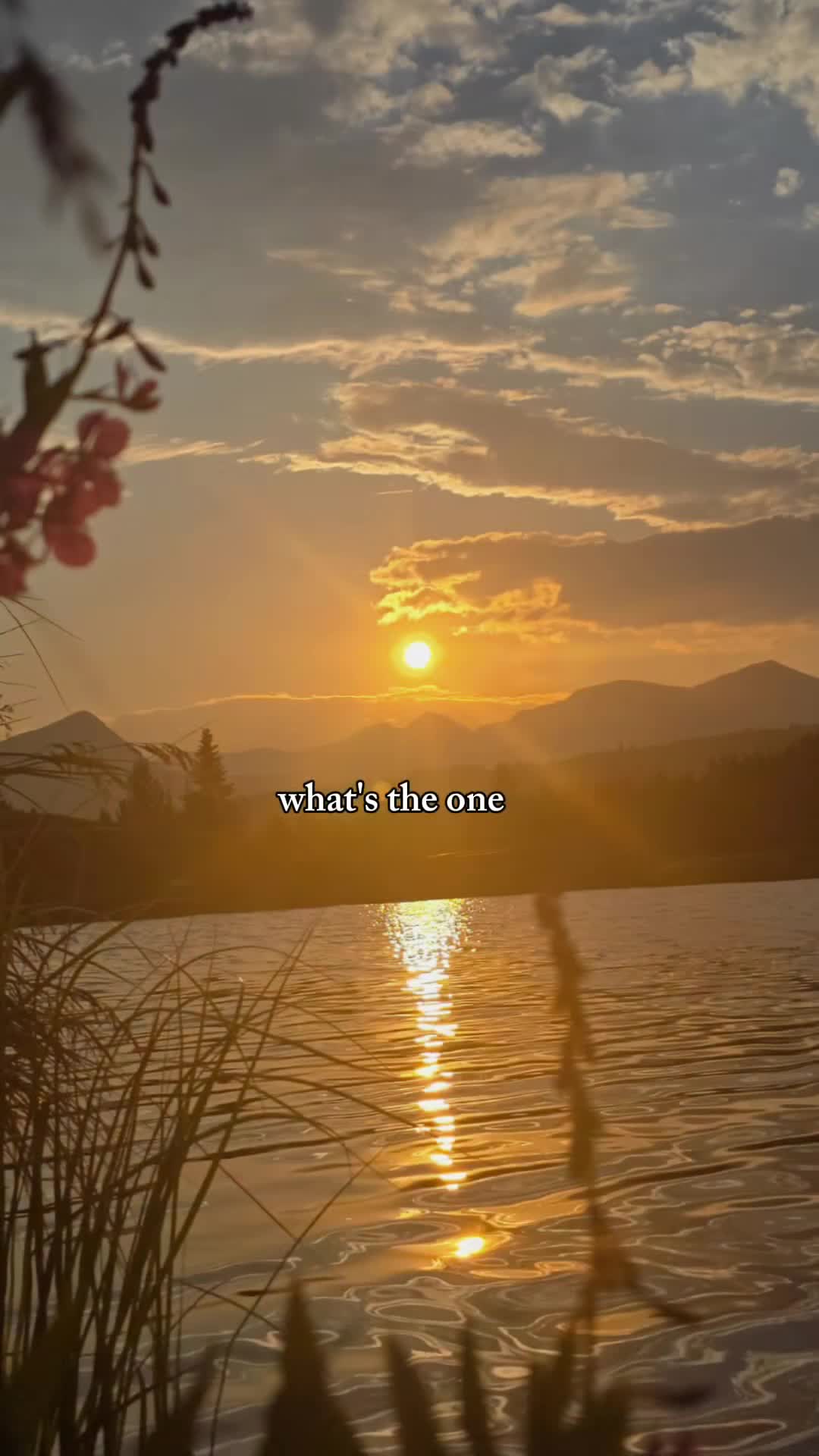 @💜 B 💜