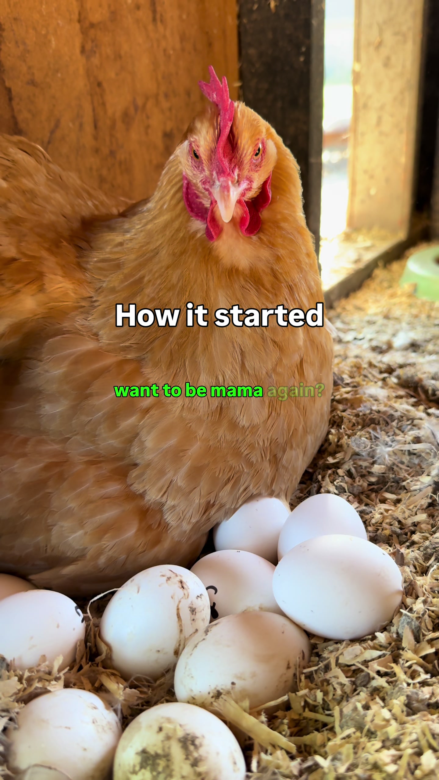 @The Real Estate Chick