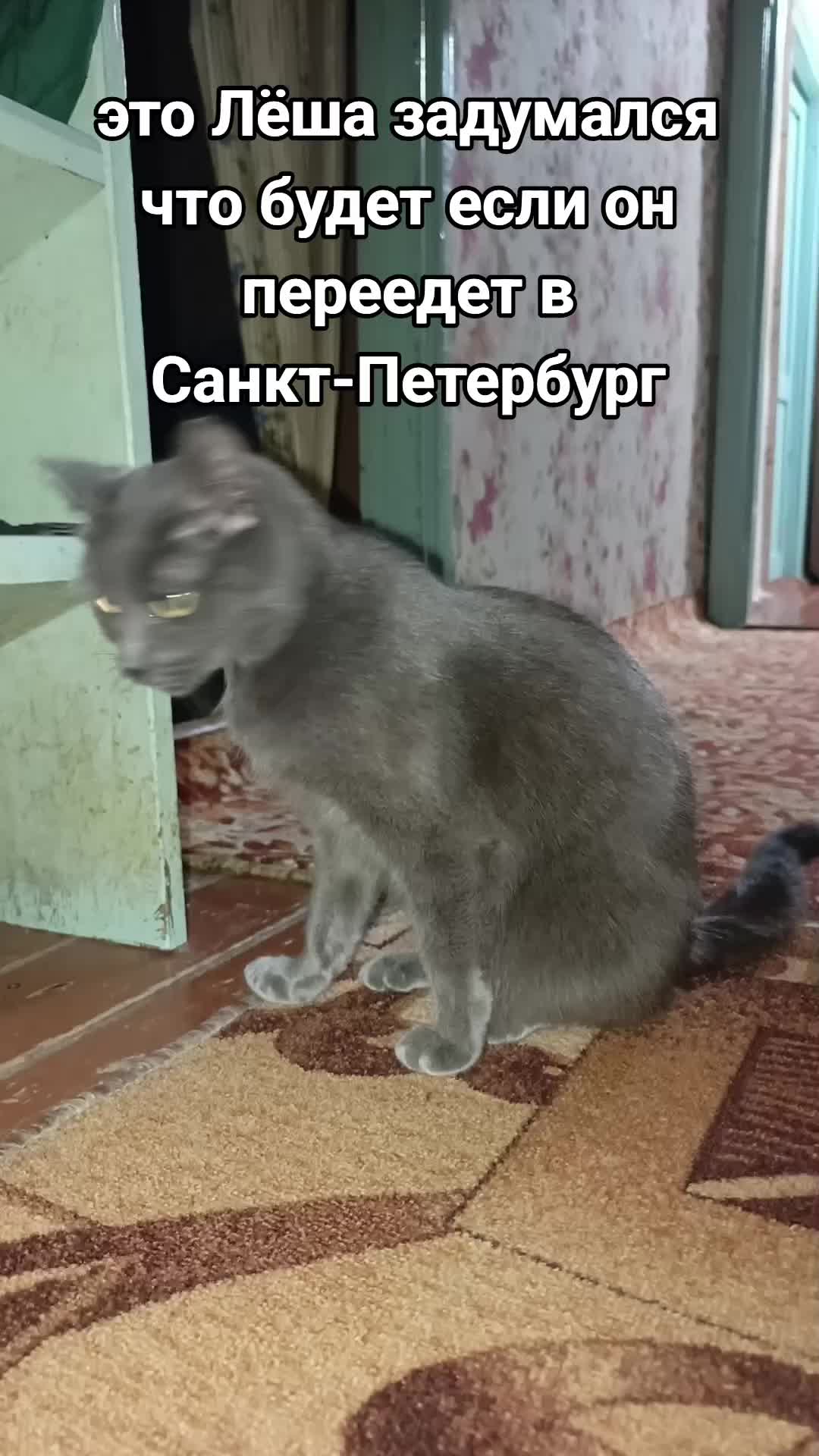 @Лёша в голоше
