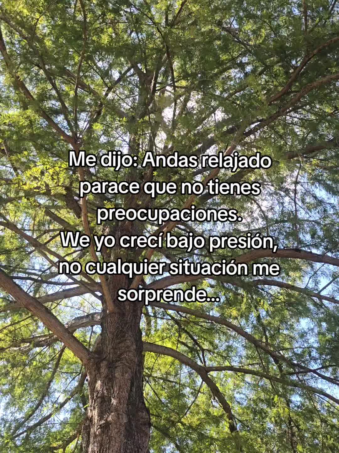 @Anthony Gomez