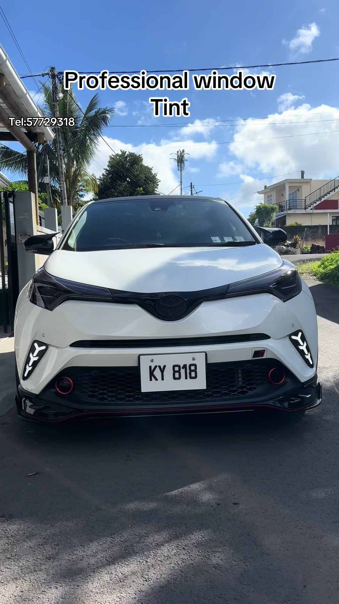 @professional _window_tint