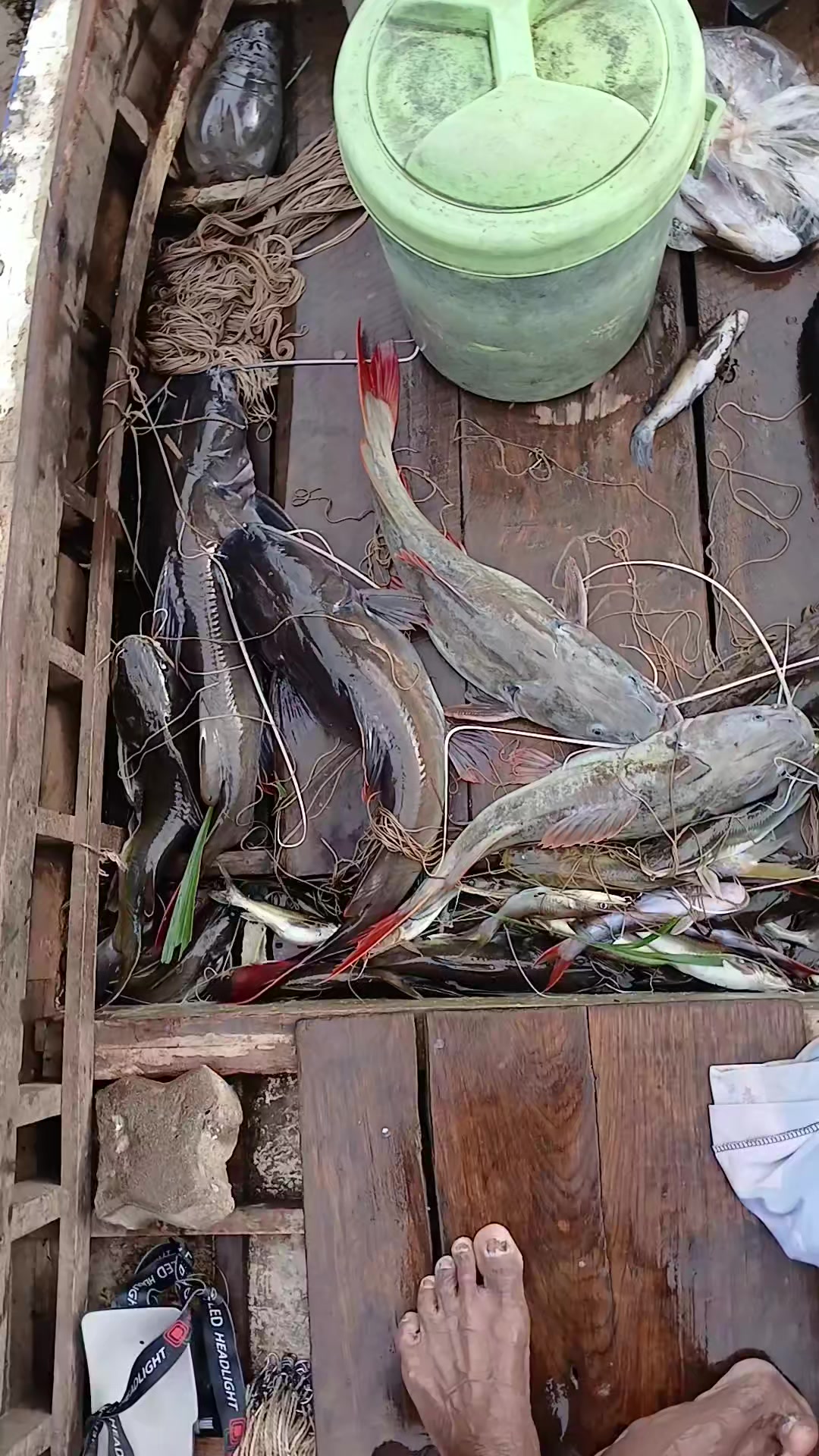 @น้อย ฉายอรุณ