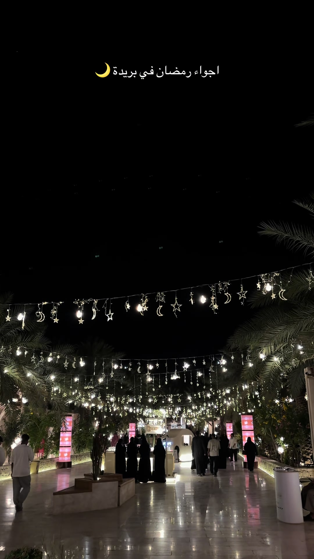 @Toto ✨