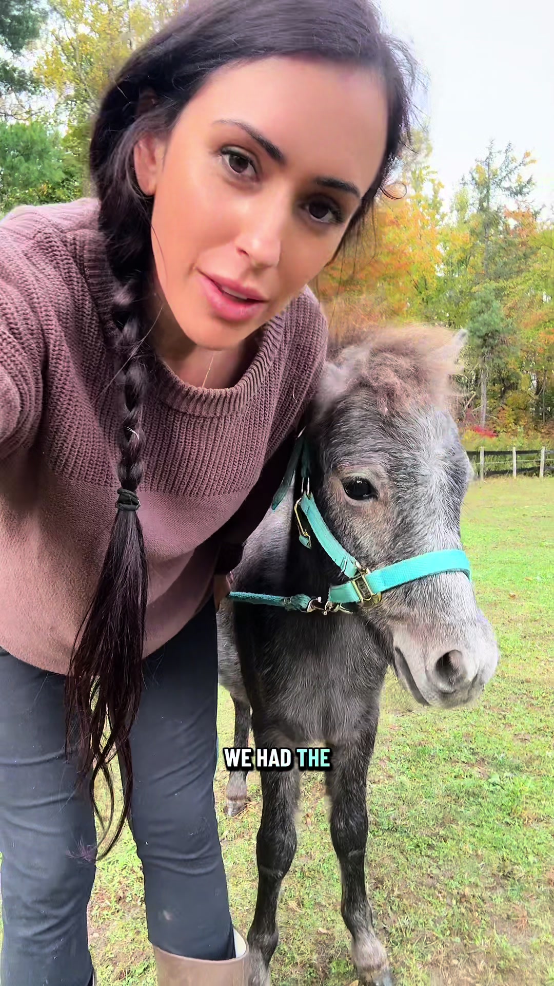 @AmandaAdams
