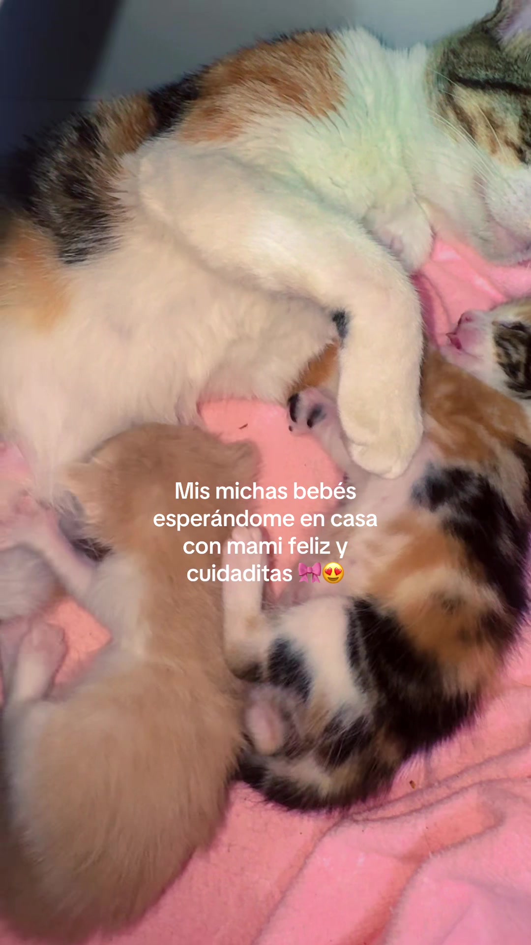 @Rubi C. 👩🏻🦽