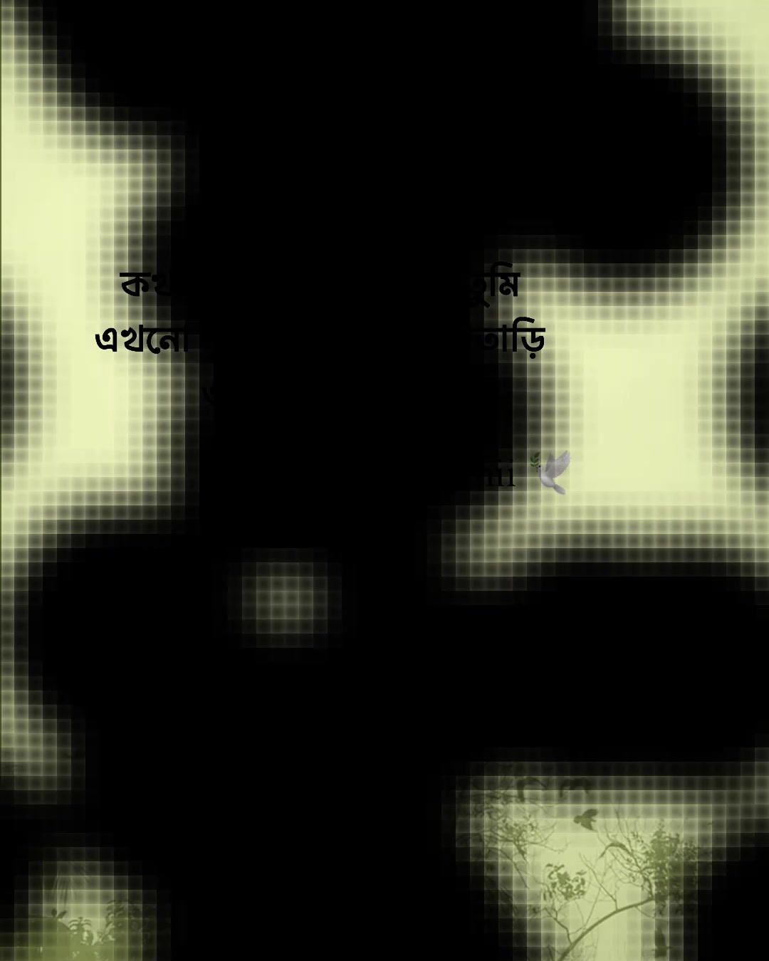 @𝗧𝗮𝗿𝗲𝗸 𝗕𝗵𝗮𝗶𝘆𝗮𝗮'♡︎
