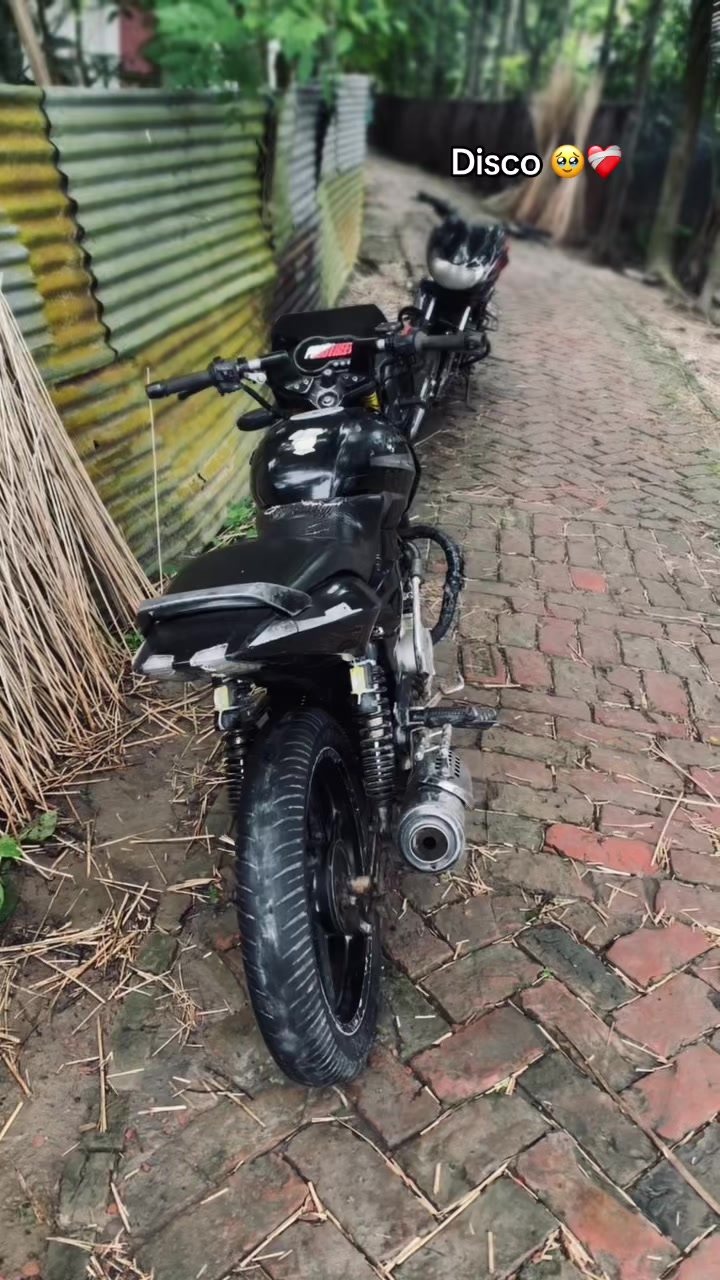@𝐓𝐡𝐞𝐁𝐥𝐚𝐜𝐤𝐏𝐚𝐧𝐭𝐡𝐞𝐫