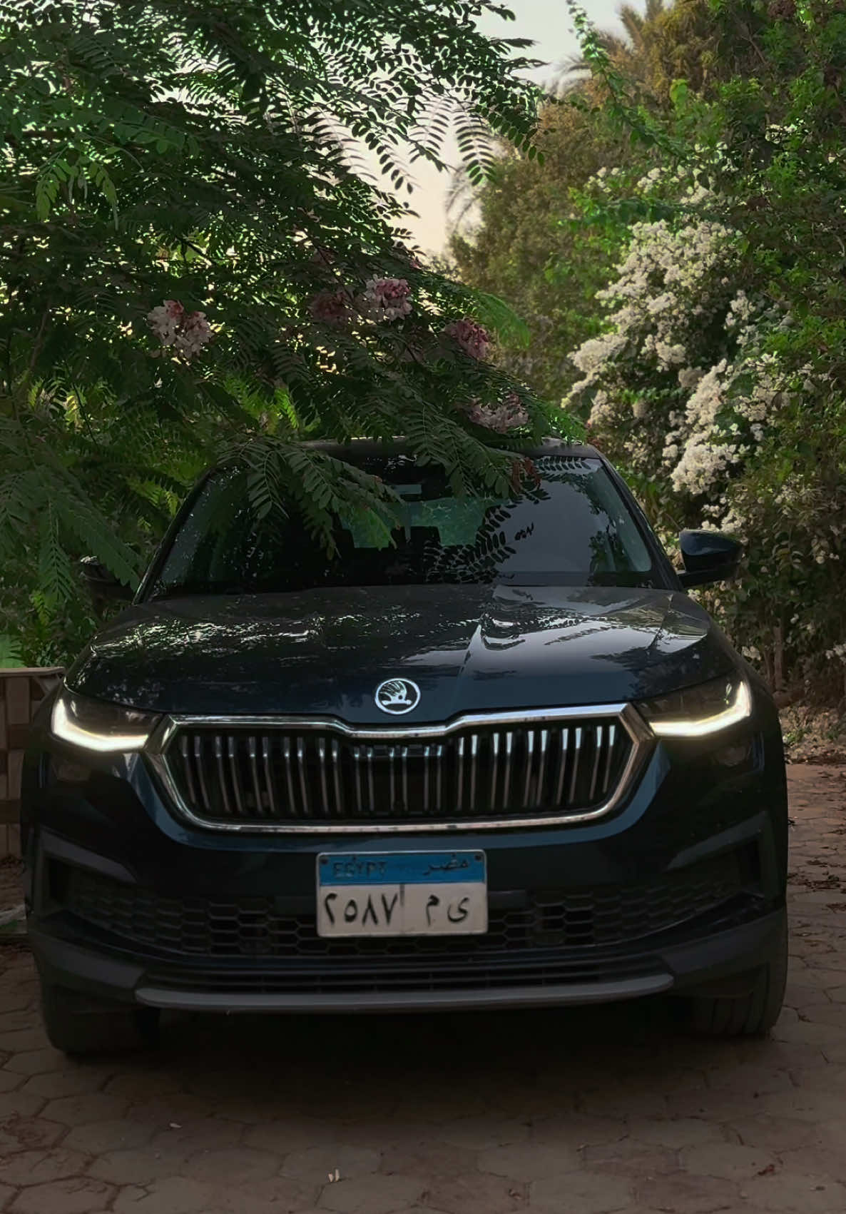 @️a7med_el_omda