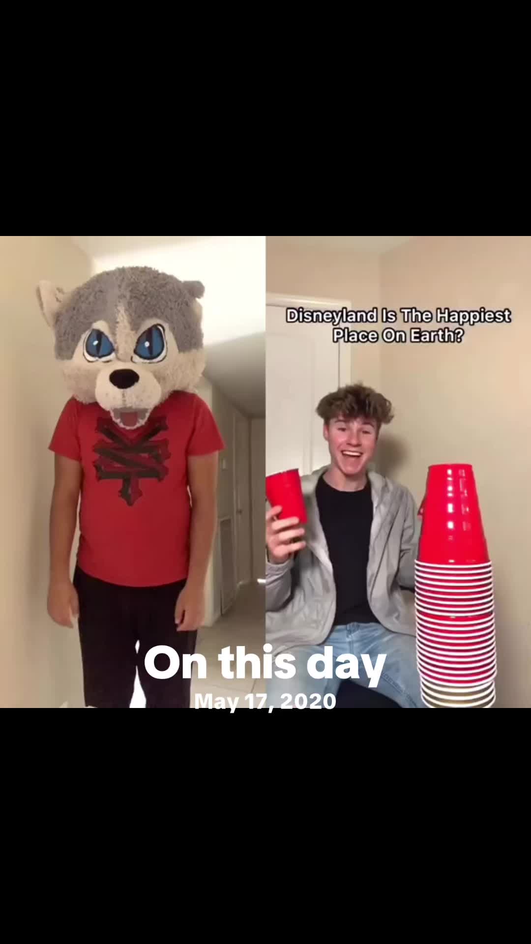 @flufferpawsofficial