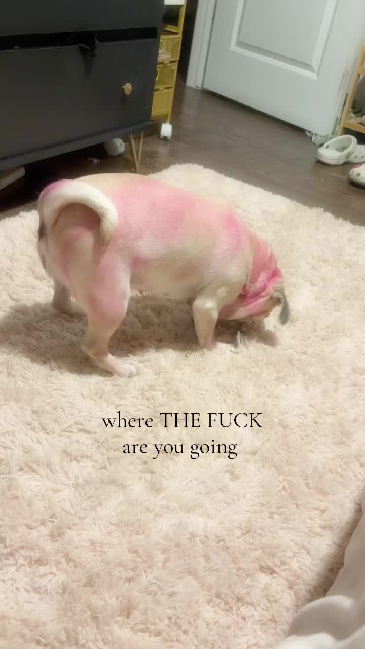 @babycookie