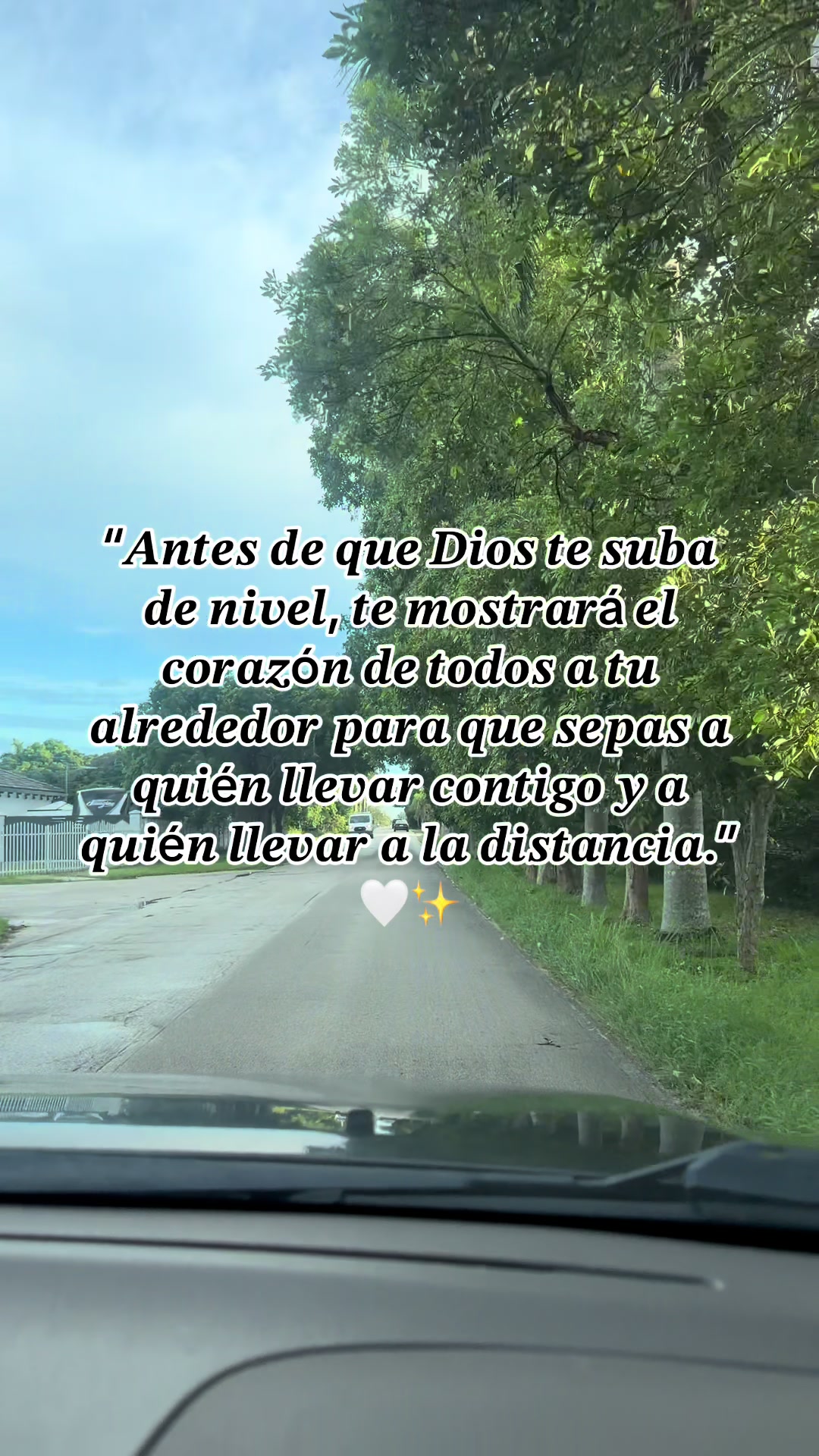 @Lianet Alvarez