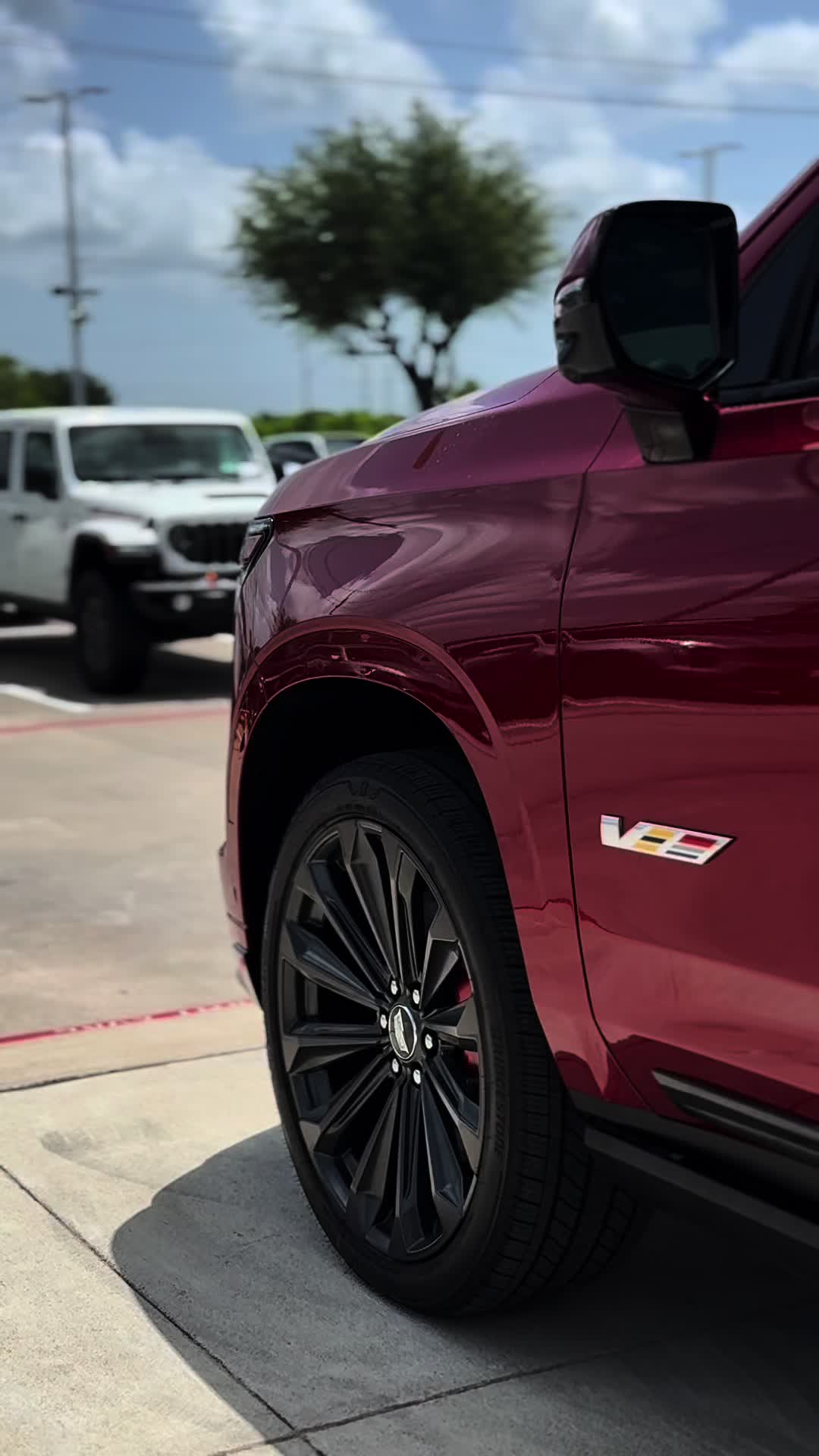 @Cadillac from Ty