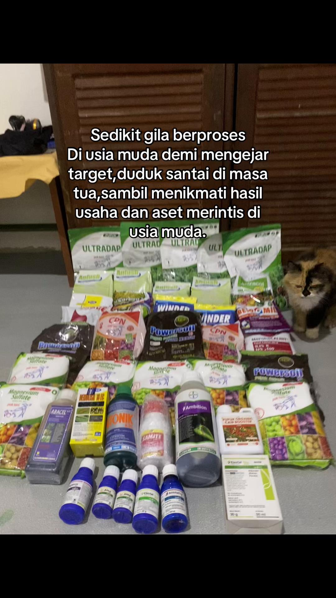 @perintis. muda