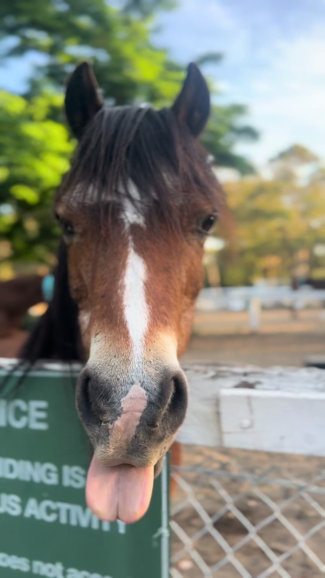 @EPEC - Horse riding centre