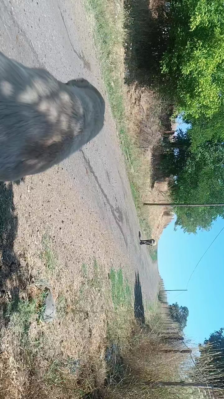 @ko&ccedil;er.12