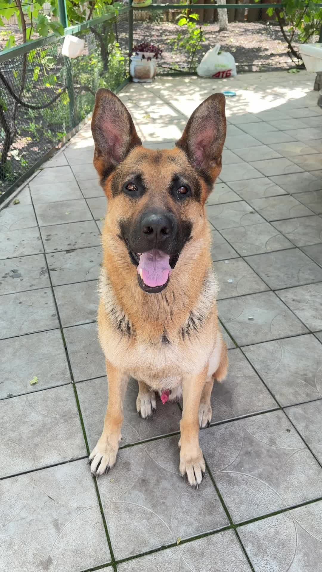@I am Rocky.
