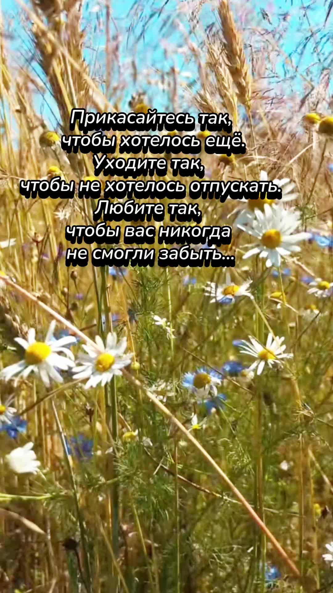 @Nata Liya