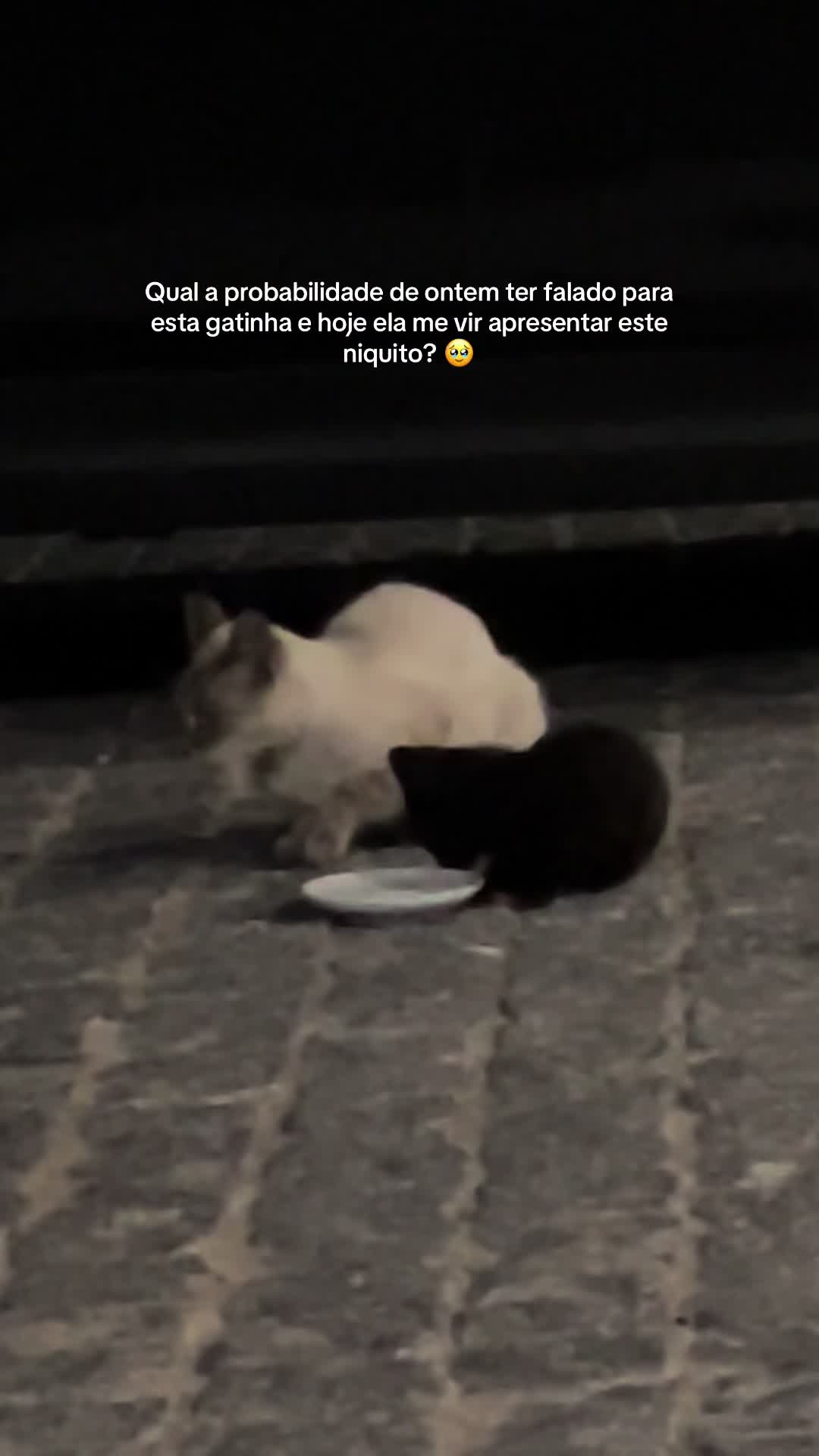 @Gina Teixeira
