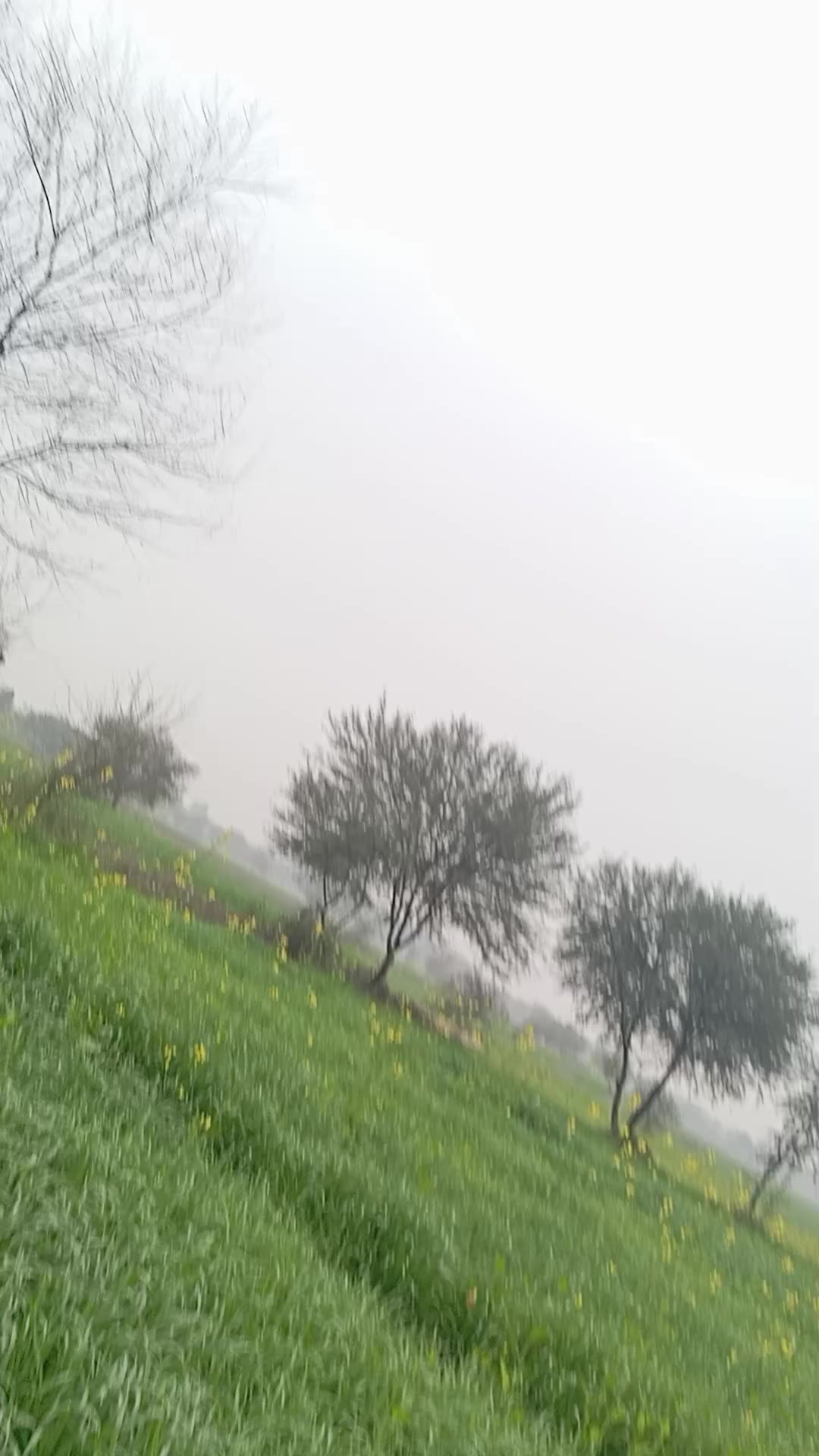 @GM bhai