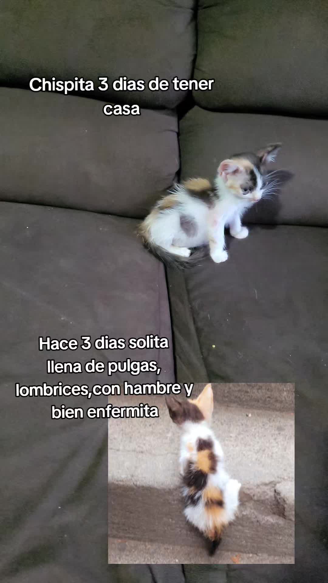 @𝕃𝕚𝕤𝕤 ℝ𝕖yes🇸🇻
