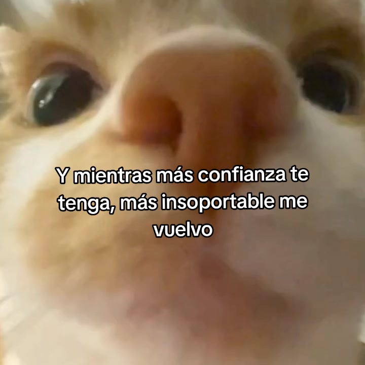 @goodvibessxd