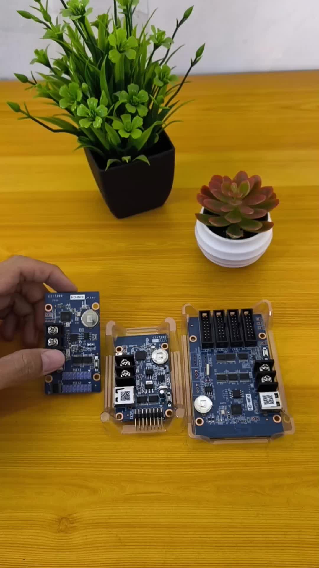 @vanled running text